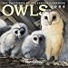 Book Owls 2004 Calendar: Pollyanna Pickering Collection