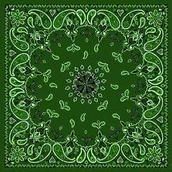 Antique Style Green Paisley Bandana