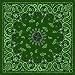 Antique Style Green Paisley Bandana