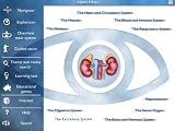 Click for more about Interactive Human Body - Megasystems.