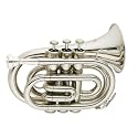 Cecilio Nickel Plated Bb Pocket Trumpet w/ Case and Accessories