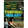 Tropical Malady [Import]