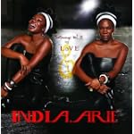 Testimony Vol. 2: Love & Politics - india.arie