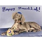 Pet Star Hanukkah Cards - Weimaraner by  Pet Star Photography