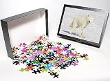 Photo Jigsaw Puzzle of Arctic Wolf from Ardea Wildlife Pets