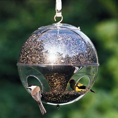 Globe - Super Cling A Wing