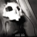 Still Life - Limitations, Boundaries and Failures
