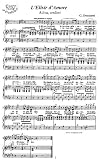 Donizetti: L'Elisir d'Amore - Adina, credemi - Nemorino, tenor: Instantly download and print sheet music