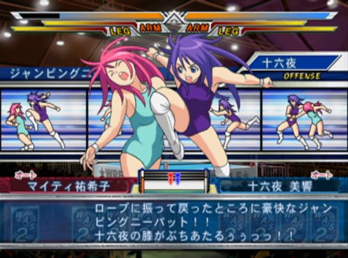 レッスルエンジェルス サバイバー2(通常版)画像7