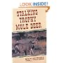 Stalking Trophy Mule Deer