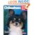 Chihuahuas (Complete Pet Owner's Manual)