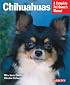 Chihuahuas (Complete Pet Owner's Manual)