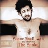 Image of album by Shane MacGowan