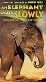 VHS : An Elephant Called Slowly