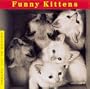 Funny Kittens (Welcome Books (Steward Tabori & Chang))