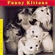 Funny Kittens (Welcome Books (Steward Tabori & Chang))