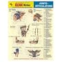 EXAMNotes for Joints - Articulations (EXAMNotes)