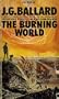 The Burning World