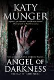 Angel of Darkness (A Dead Detective Mystery)