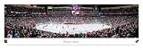 Blakeway Phoenix Coyotes 13.5 X 40 Panorama