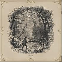 Vetiver