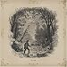 Vetiver
