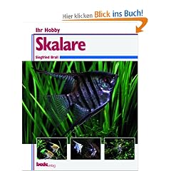Skalare, Ihr Hobby