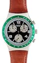 Swatch Unisex Armbanduhr Chrono EARTH SURFACE YCS479