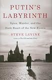 Putin's Labyrinth: Spies, Murder, and the Dark Heart of the New Russia