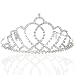 Bridal Wedding Princess Tiara Crown With Blooming Crystal Crossed Hearts