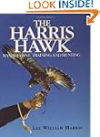 The Harris Hawk