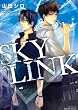 SKY LINK (ミリオンコミックス　HertZシリーズ)