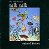 Image of album by Talk Talk