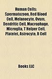 Human Cells: Spermatozoon, Red Blood Cell, Melanocyte, Ovum, Dendritic Cell, Macrophage, Microglia, T Helper Cell, Platelet, Astroc-