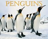 Penguins 2007 Calendar