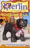 Merlin, der Zauberhund - Merlin, wuensch' Dir was!