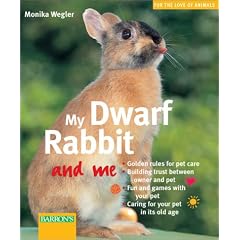 My Dwarf Rabbit and Me
