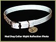 Vedante Super Reflective Dog Collar with Bonus Glow in the Dark Tag (Medium, Silver)