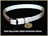 Super Reflective Silver Dog Collar - Med | By Vedante | Bonus Glow in the Dark Tag | Great Stocking Stuffer!