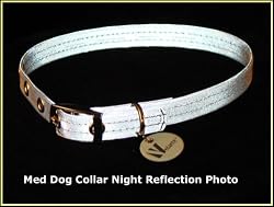 Vedante Super Reflective Dog Collar with Bonus Glow in the Dark Tag (Medium, Silver)