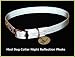 Pet Supplies : Super Reflective Silver Dog Collar - Med | By Vedante | Bonus Glow in the Dark Tag | Great Stocking Stuffer!