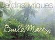 Burle Marx : Jardins lyriques