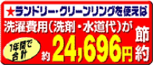 Cover image : 地球にやさしいお洗濯「ランドリー・クリーンリング」