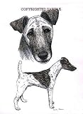 Fox Terrier - Double Image by Cindy Farmer, Smooth