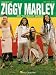 The Best of Ziggy Marley and the Melody Makers