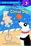 Coco and Cavendish : circus dogs