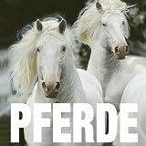 Produkt-Bild: Pferde