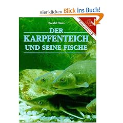 Der Karpfenteich und seine Fische