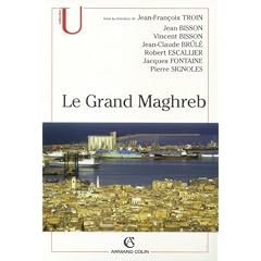 Le Grand Maghreb (Alg�rie, Libye, Maroc, Mauritanie, Tunisie) : Mondialisation et construction des territoires