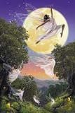 Empire 95473 Fairy Dance of the Moon - Fantasy Plakat Poster Druck - 61 x 91.5 cm